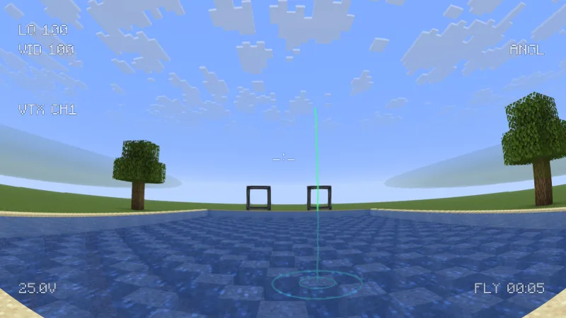 FPV view through the fisheye lens over a pool towards two gates: the horizon bends at the edges, the trees lean outwards